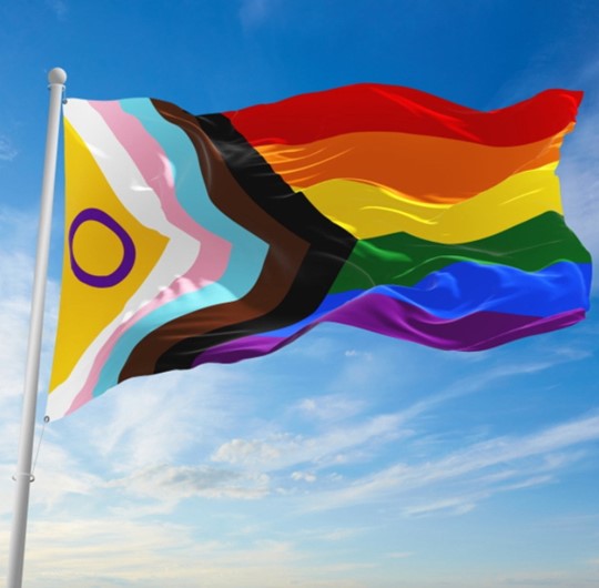 Intersekse Progress Pride-vlag, waar staat deze allemaal voor?